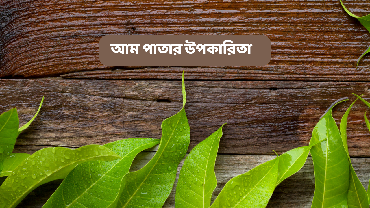 আম পাতার উপকারিতা
