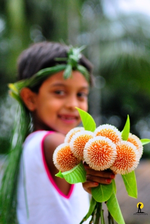 কদম ফুলের ছবি 5