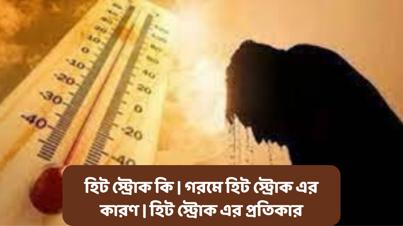 হিট স্ট্রোক কি