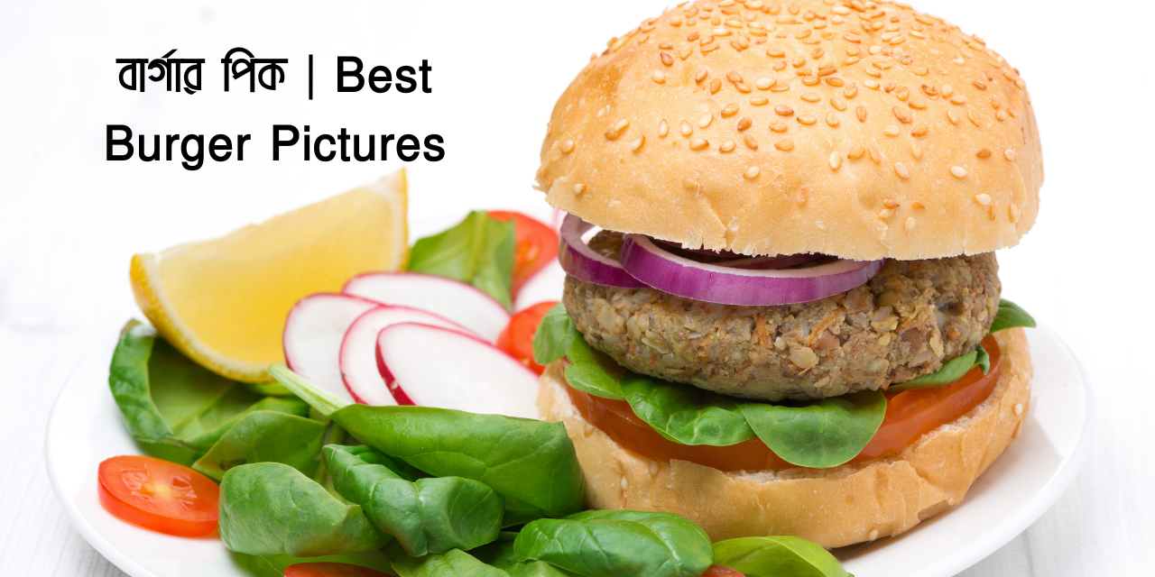বার্গার পিক | Best Burger Pictures