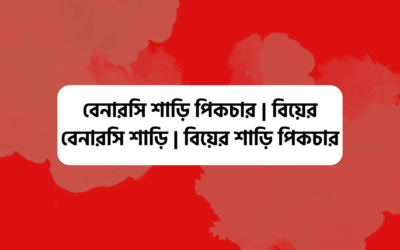 বেনারসি শাড়ি পিকচার | বিয়ের বেনারসি শাড়ি | বিয়ের শাড়ি পিকচার